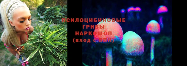 МДМА Инсар