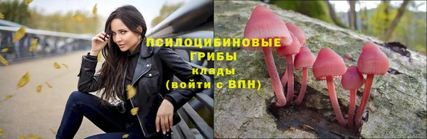 прущие крисы Зеленодольск