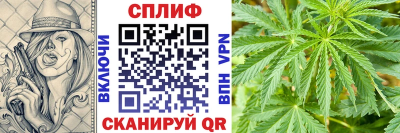 Купить где  Каргополь  Канабис White Widow 